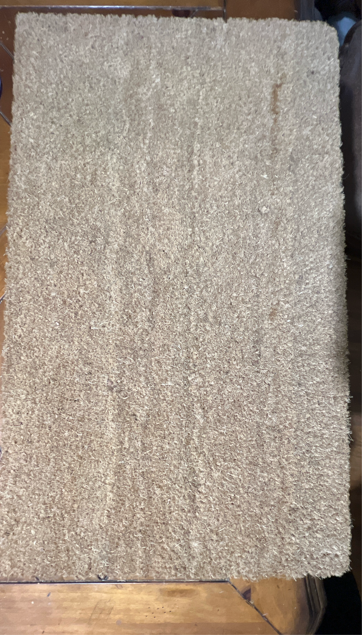 Customized DoorMat/ Rug/ Welcome Mat