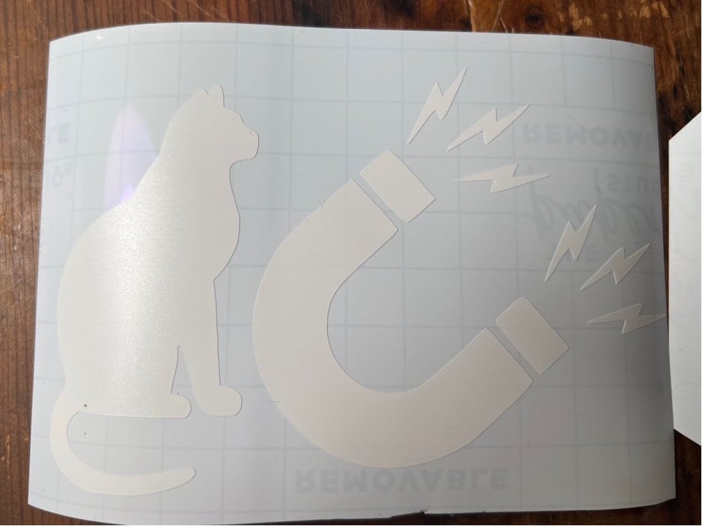 Pussy Magnet Sticker